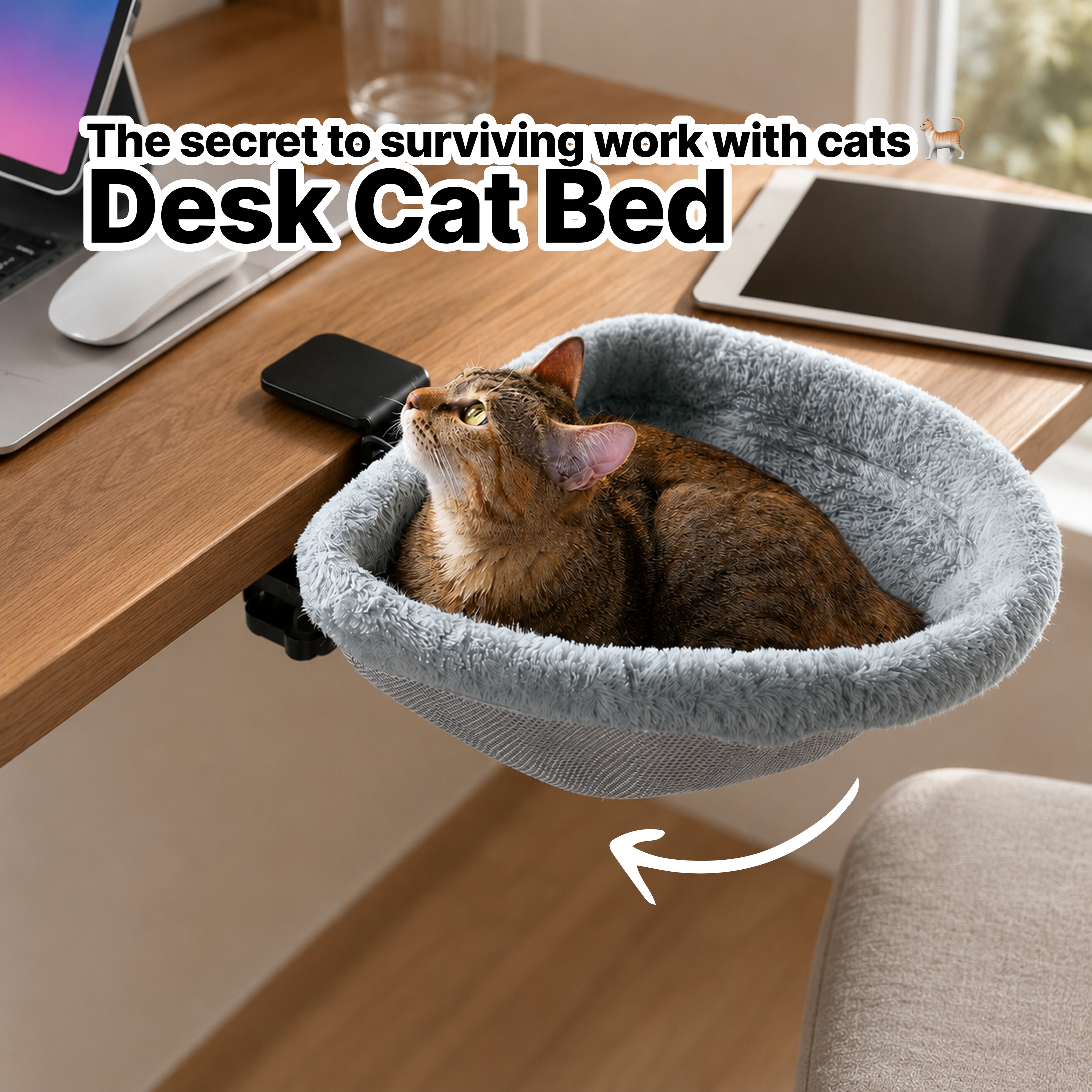 Cat Bed 🐱