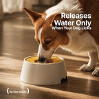 1000ml Spill-Proof Dog Water Bowl
