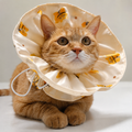 Elizabethan Collar