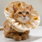 Elizabethan Collar