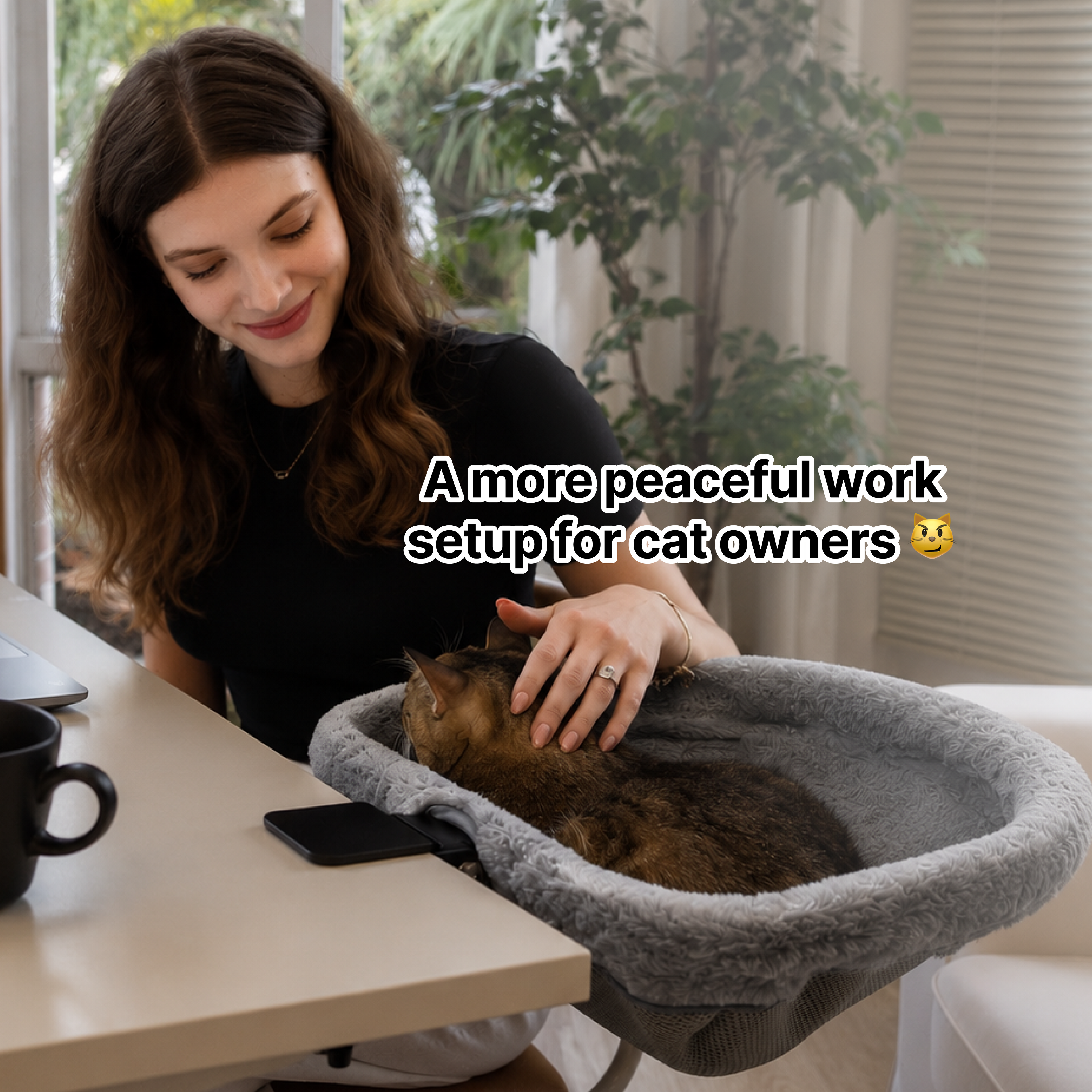 Desk Cat Bed