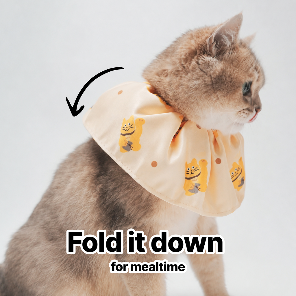 Elizabethan Collar