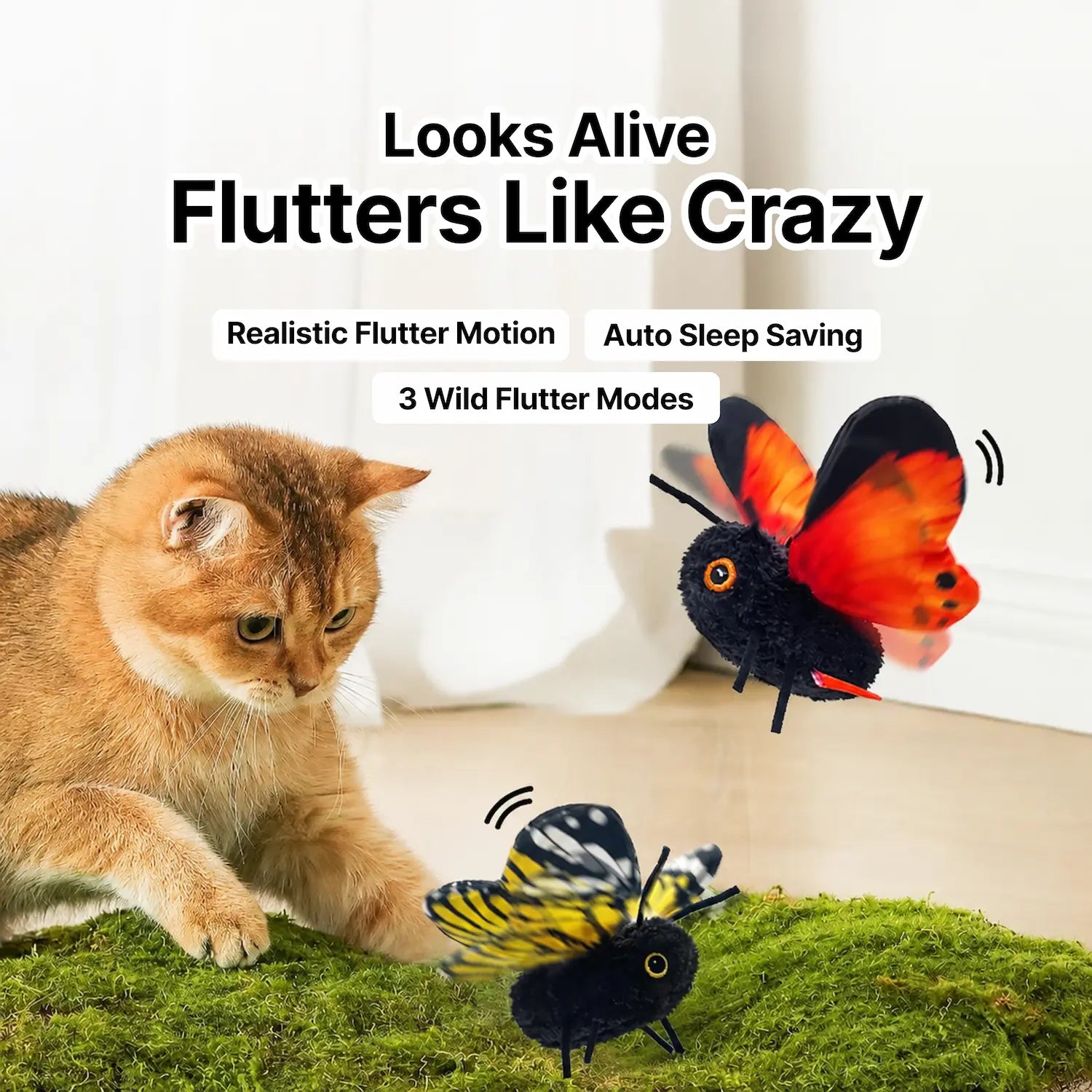 Interactive Butterfly Cat Toy