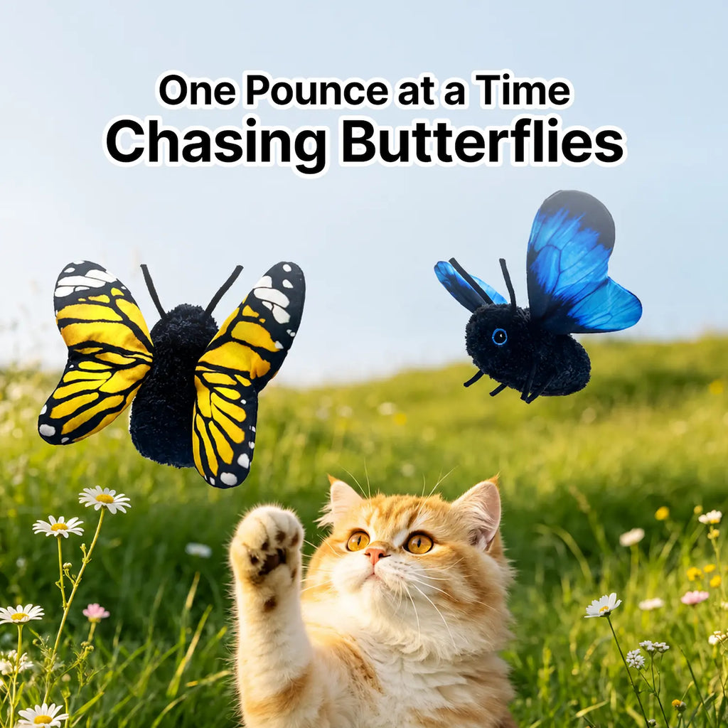 Interactive Butterfly Cat Toy