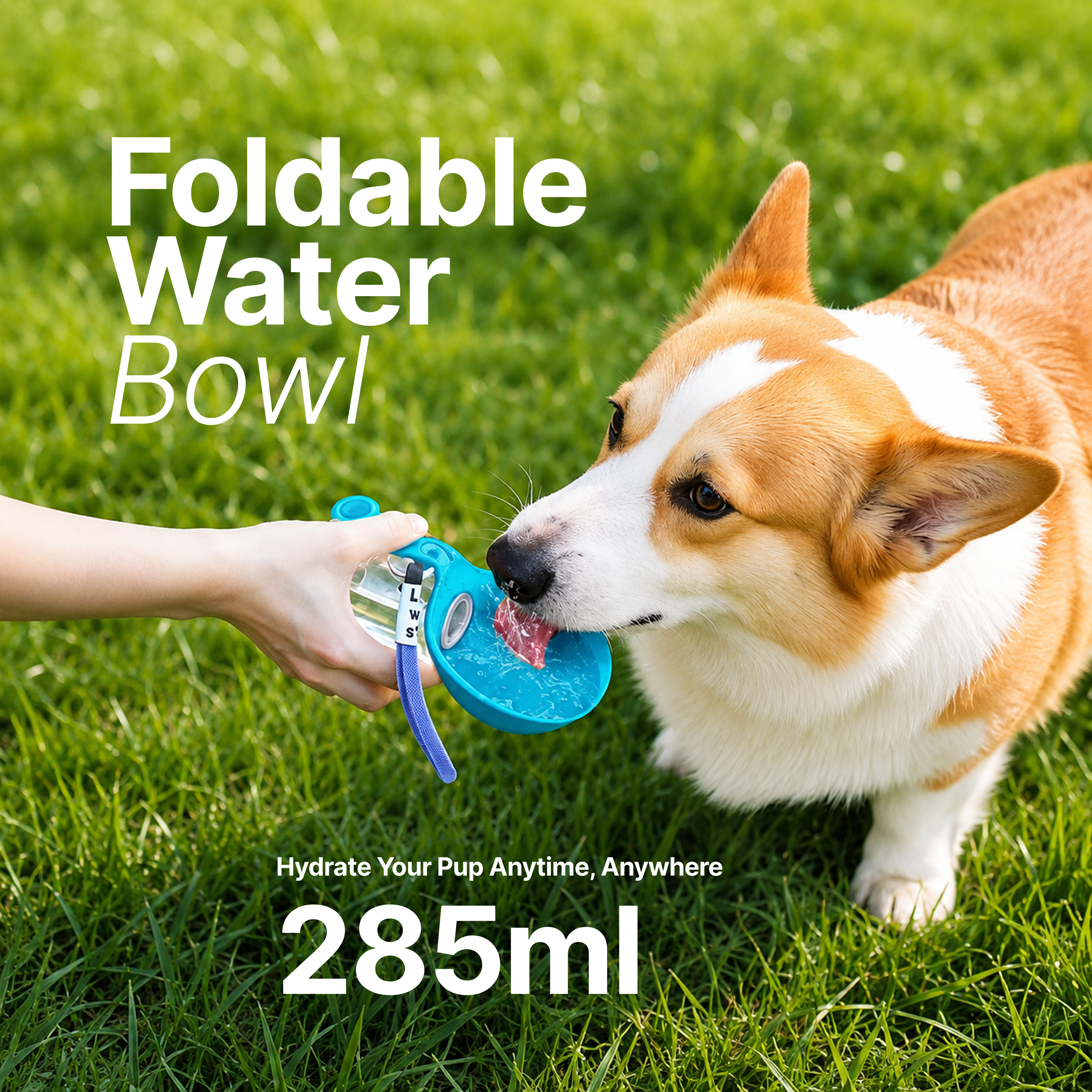 Spherical pet water bottle